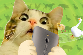 FRIDAY专栏 | 被憋疯的职场人，养起了猪牛羊鱼鸟...