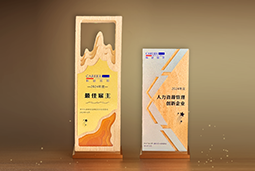 USDT钱包下载指南国际一举斩获“2024年度中国区最佳雇主”等多项大奖